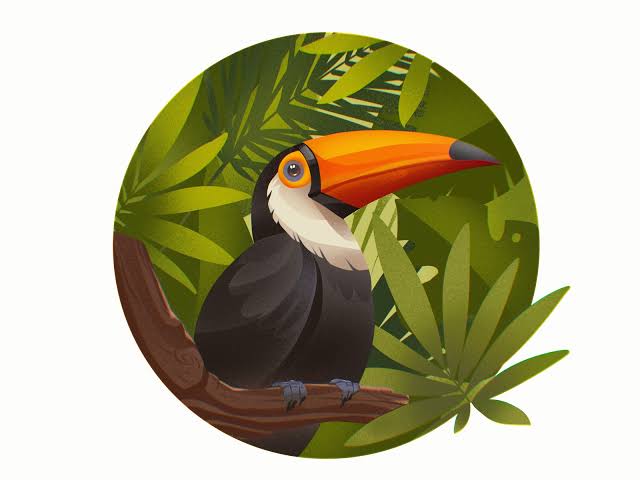 Wildlife 🦧🦚🐝🦈🌵