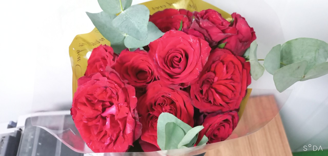 Rose  L&ecirc; 