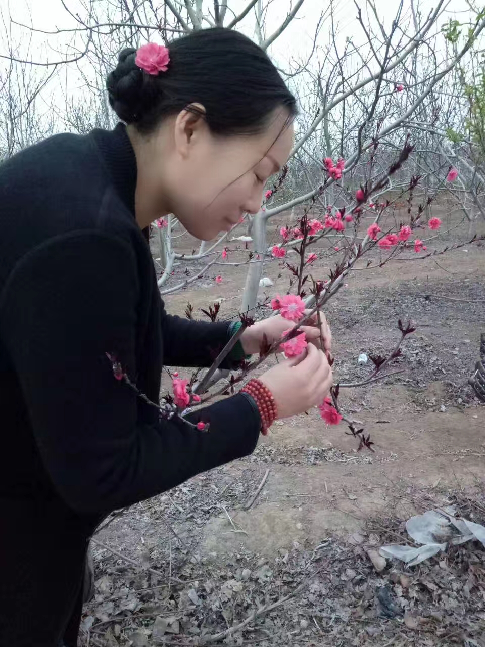 15053 672298